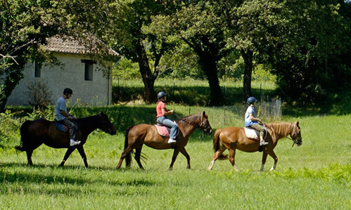 Équitation