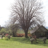 Le printemps s'invite, les réservations commencent, le Domaine de la Margotine prend vie.