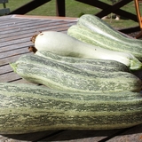 Nos courgettes bicolores sont délicieuses.