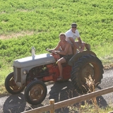 Tour de mon tracteur Fergusson avec un vacancier...