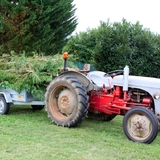 Chaque année, nous taillons nos 800 végétaux que nous avons plantés...