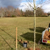 Nous avons planté plus de 800 végétaux dans le domaine.