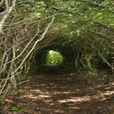 Un passage secret pour le bonheur des enfants au jardin de Marqueyssac