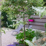 Une partie de la terrasse du gite.