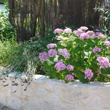 Votre terrasse est arborée et fleurie.