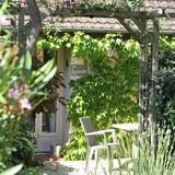 La terrasse du gite sous le grand tilleul.