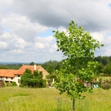 Une partie domaine et du grand gite la Prairie.